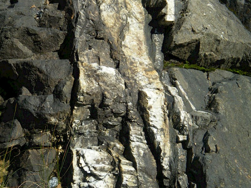 Surface quartz veining at Ridge vein