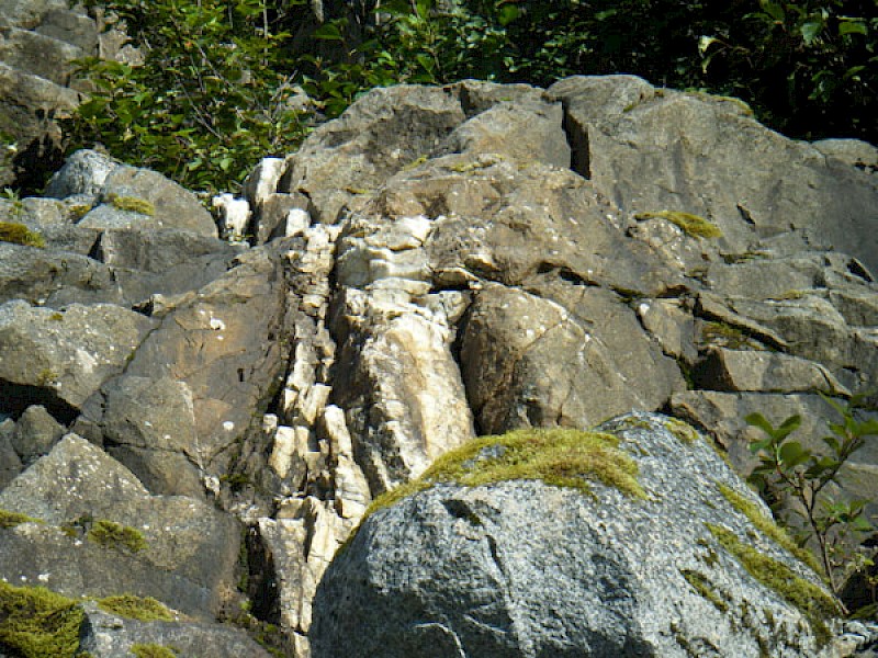Surface quartz veining at Ridge vein